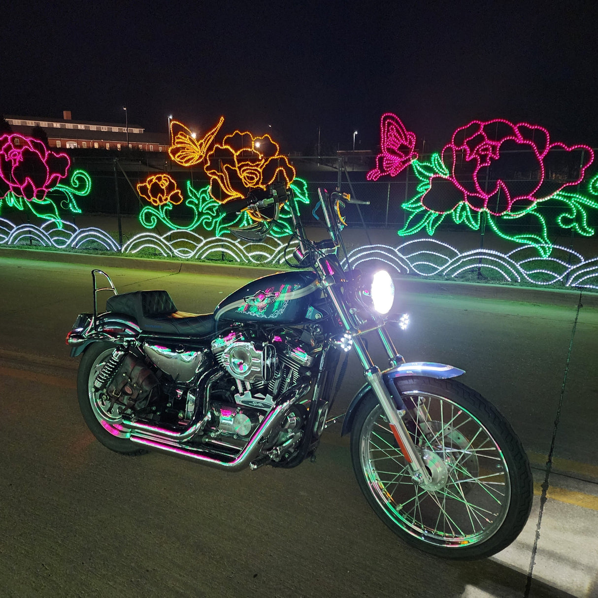 Eagle Lights 2” Infinity Beam Front and Rear (1156) LED Turn Signal Kit w/ Running LED Light Ring Covers for Harley-Davidson® Motorcycles