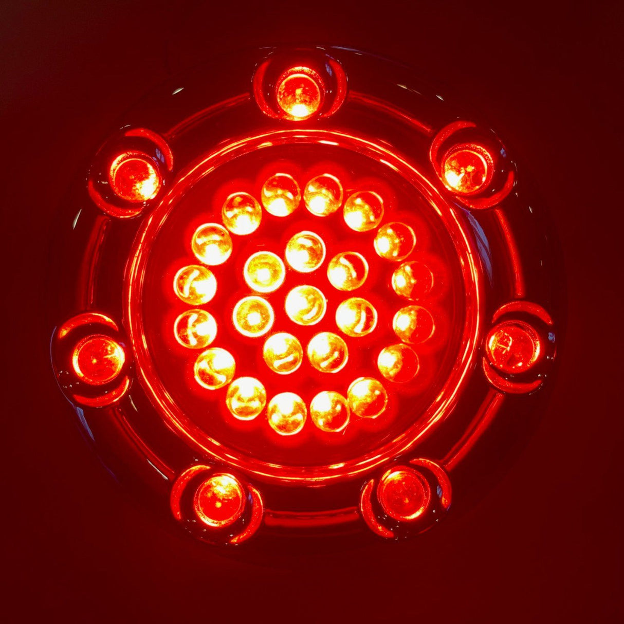 Eagle Lights Infinity Beam 2” Rear LED Turn Signals with LED Ring Covers for Harley-Davidson® - Rear 1156 / Red LEDs