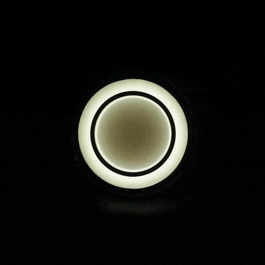 Eagle Lights HALOS 2" Front LED Turn Signals for Harley-Davidson® Motorcycles