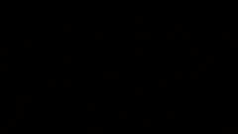 Eagle Lights SCANNERZ Sequential Turn Signal and Brake Light Kit