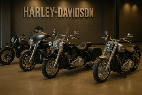 What are the Harley-Davidson Families?