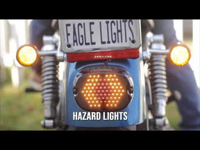 Eagle Lights Low Profile Flashing LED Brake Light with Built In Sequential LED Turn Signal Kit for Harley Davidson Motorcycles