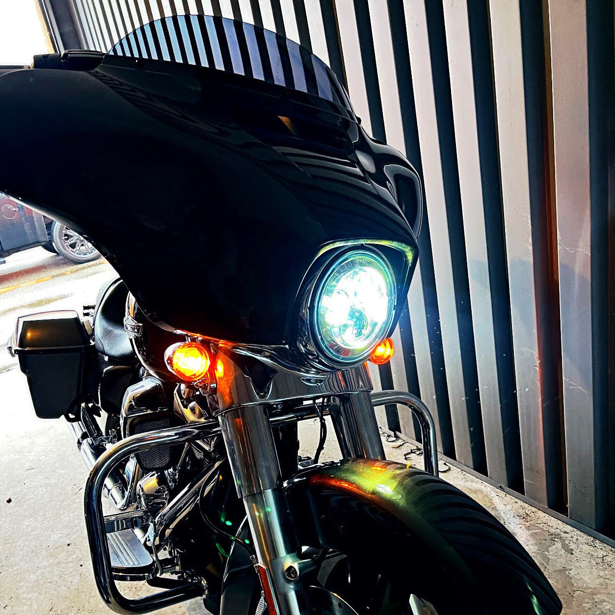 Eagle Lights 7