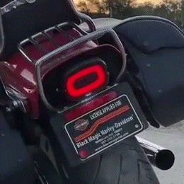 Eagle Lights HALOS Layback LED Tail Light with Turn Signals for Harley Davidson Motorcycles