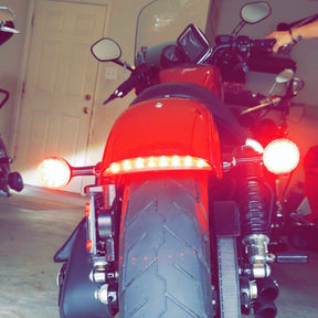Eagle Lights LED Taillight Conversion / Upgrade Kit for Harley Sportsters